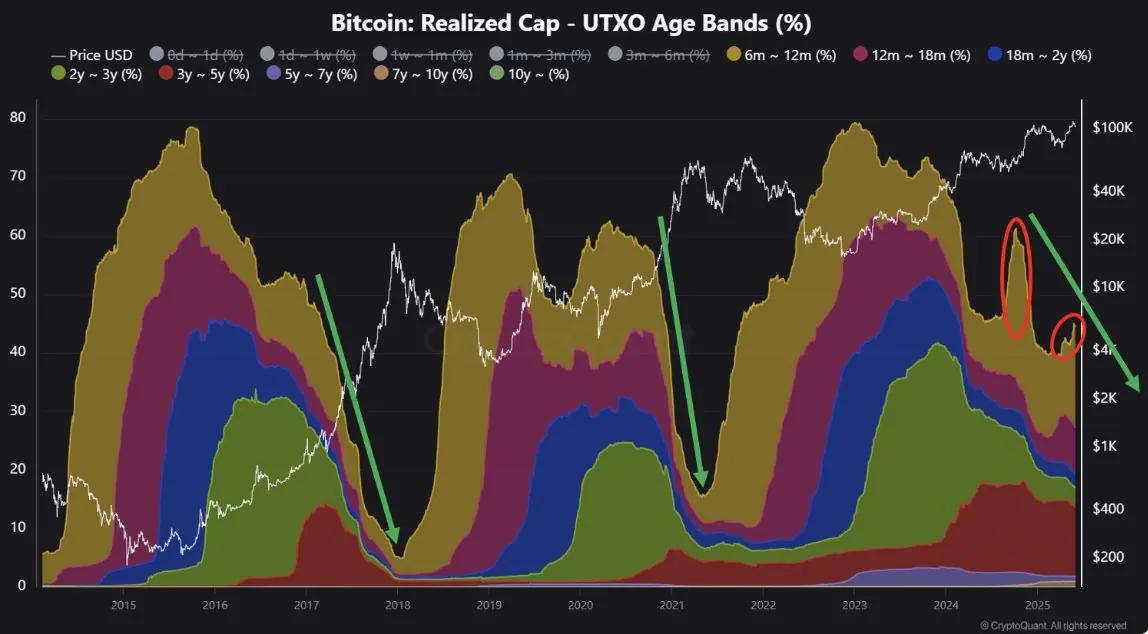 Data From Utxo Age Bands
