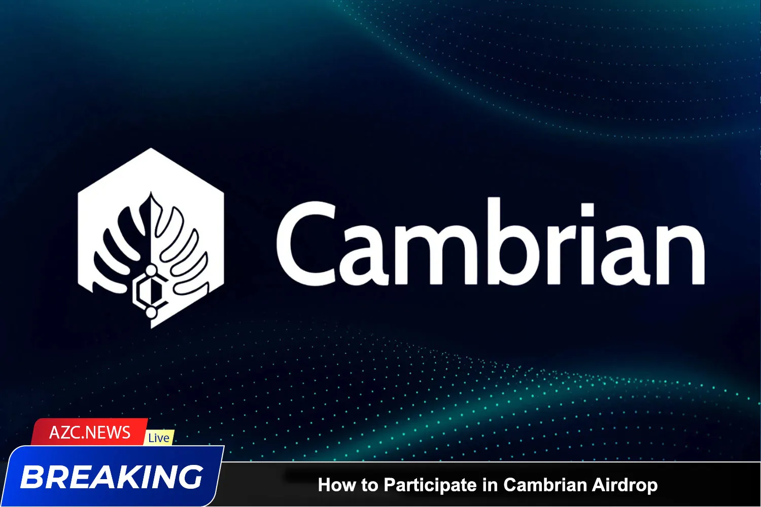 How To Participate In Cambrian Airdrop