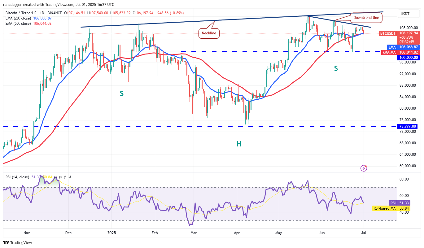 Bitcoin Price Chart 1d