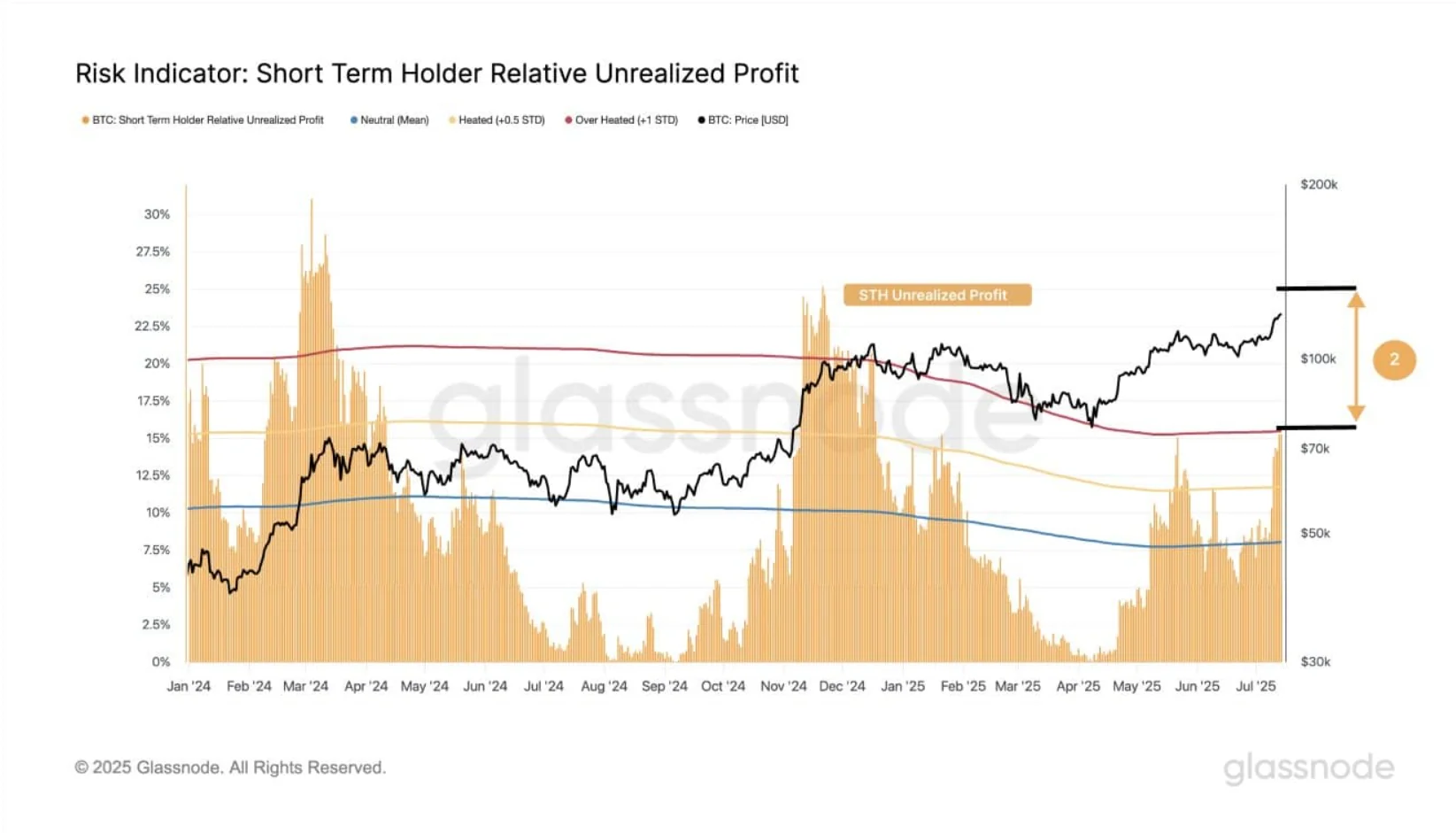 Unrealized Profit Metric