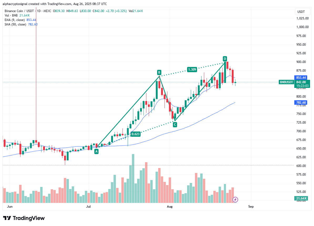 BNB at Risk? Bearish Chart Pattern Signals a Critical Test Ahead 2 Bnb Price Chart