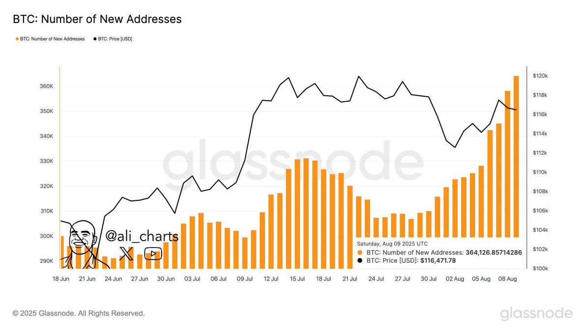 Bitcoin’s Network Growth Continues