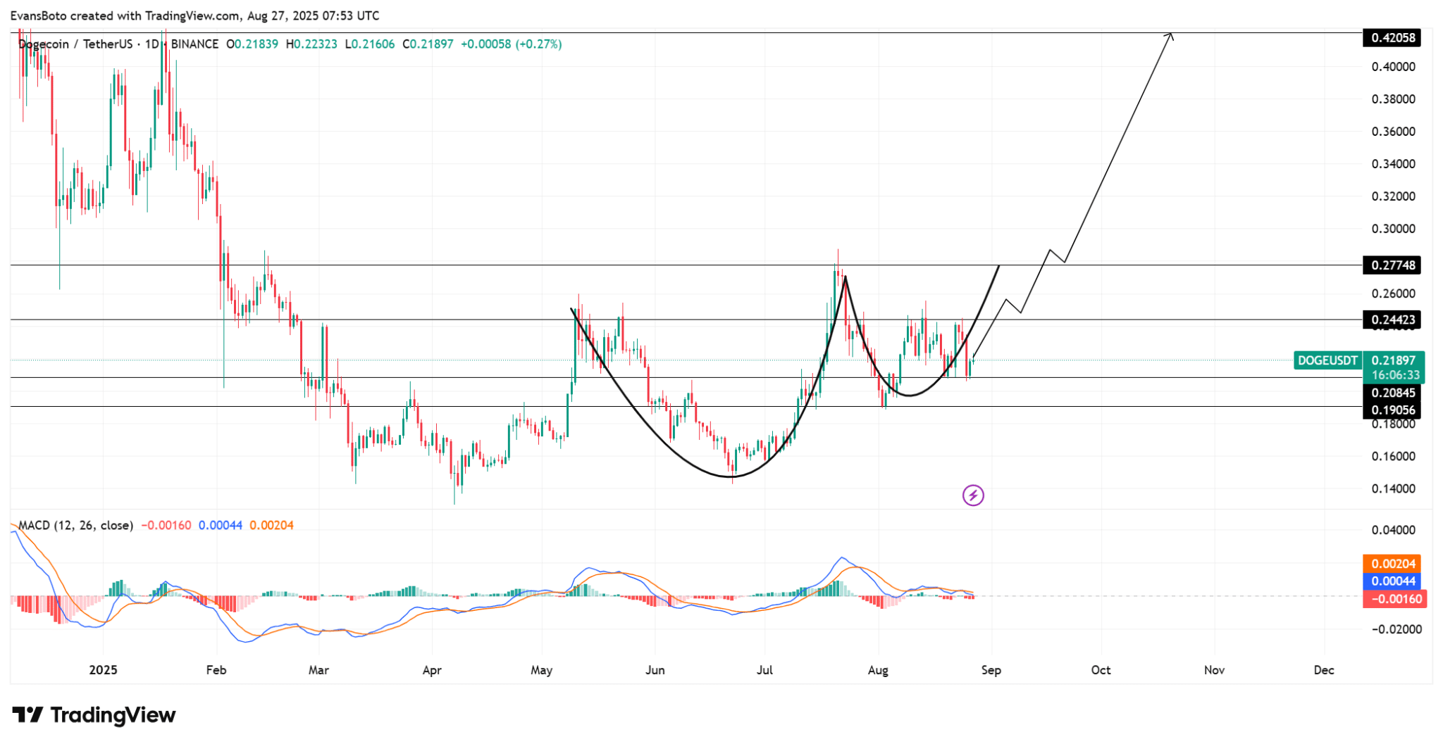 Doge Price Chart