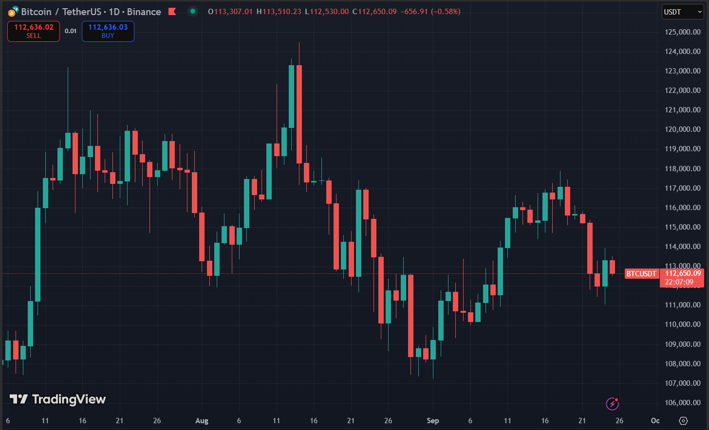 Bitcoin Price Chart