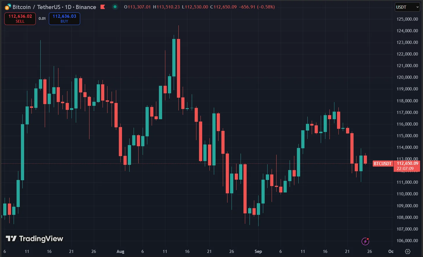 Bitcoin Price Chart