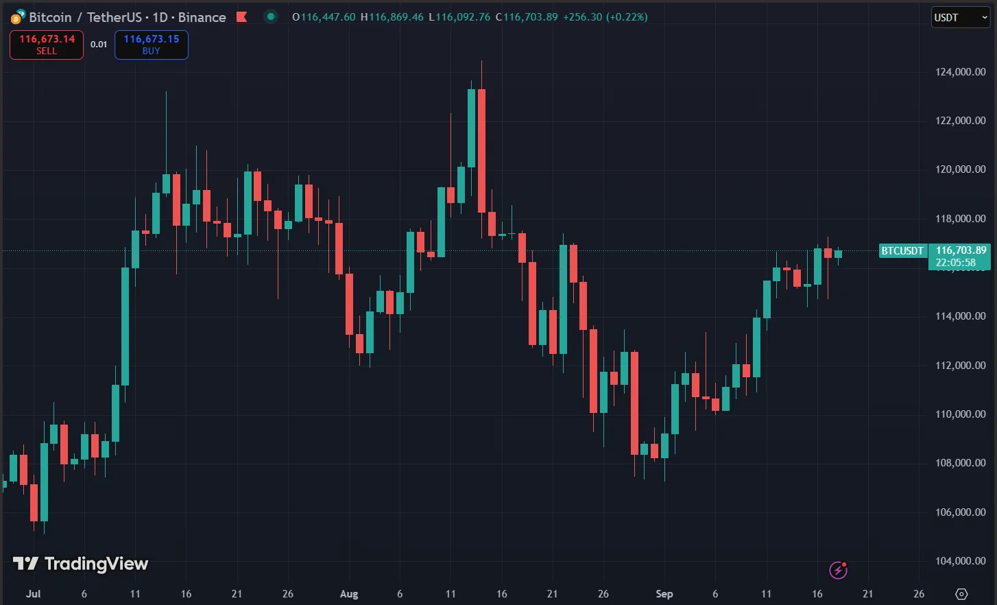 Bitcoin Price Chart