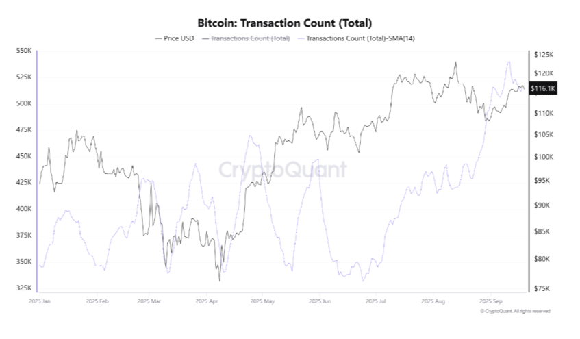 Data From Cryptoquant