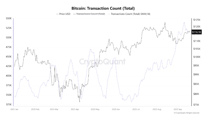 Data From Cryptoquant