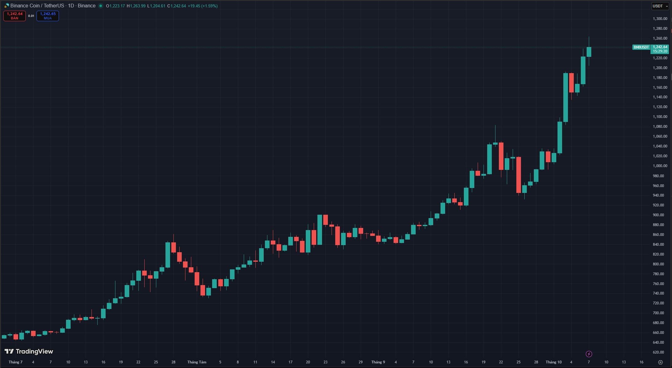 Bnb Price Chart