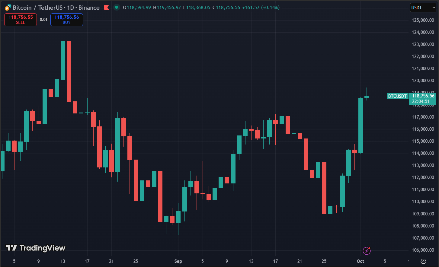 Bitcoin Price Chart
