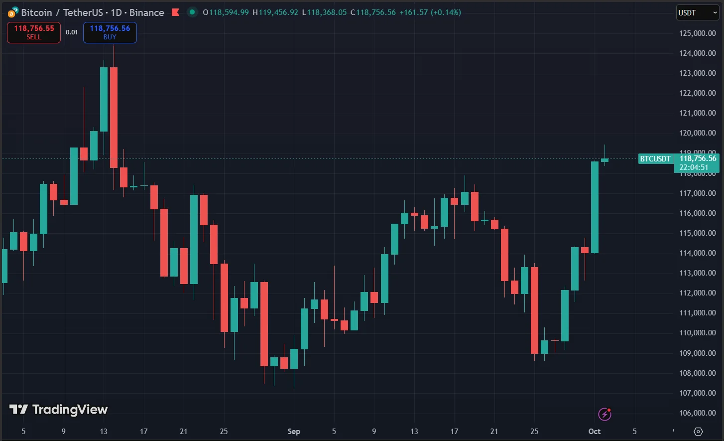 Bitcoin Price Chart