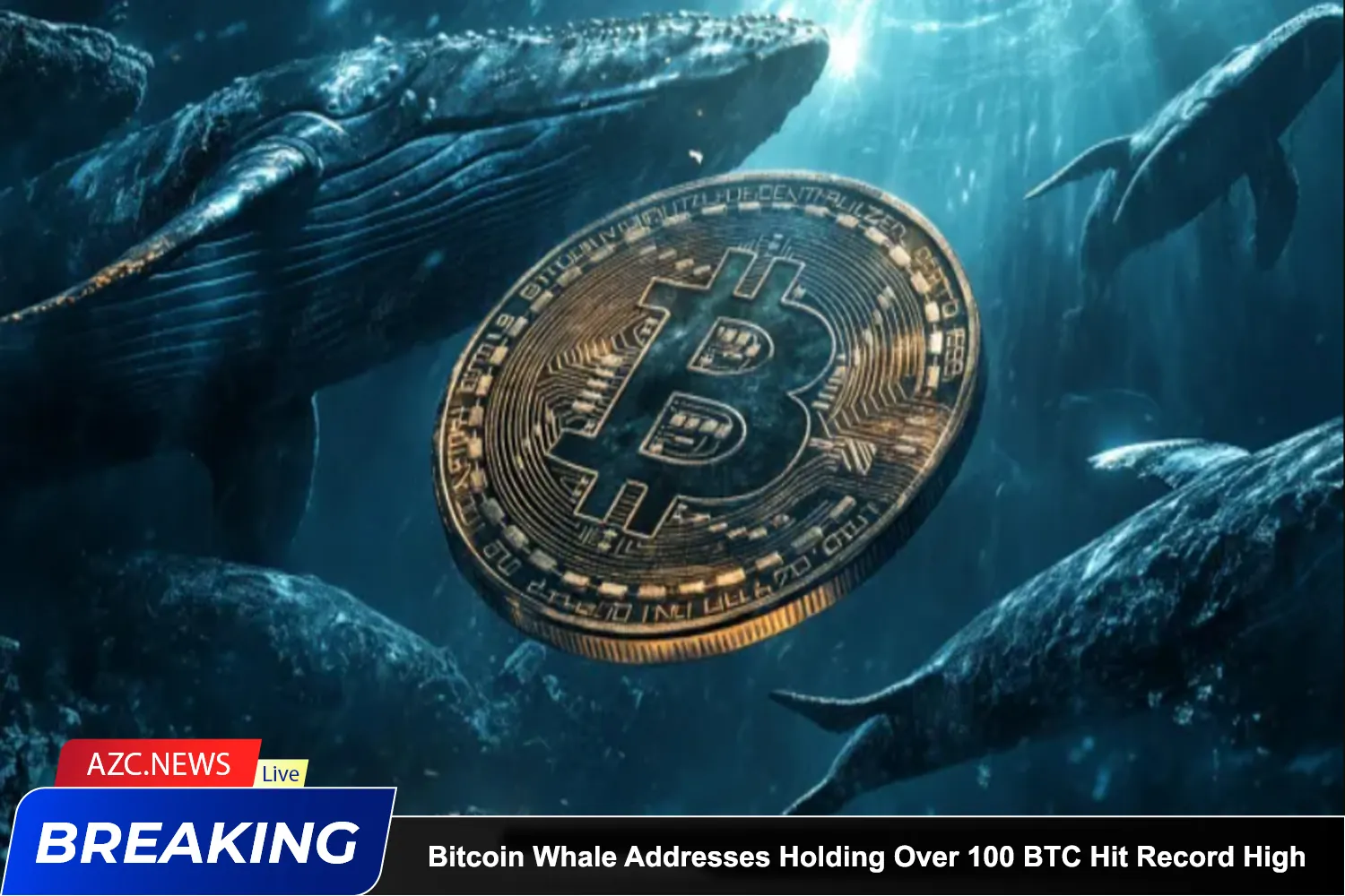 Bitcoin Whale Addresses Holding Over 100 Btc Hit Record High