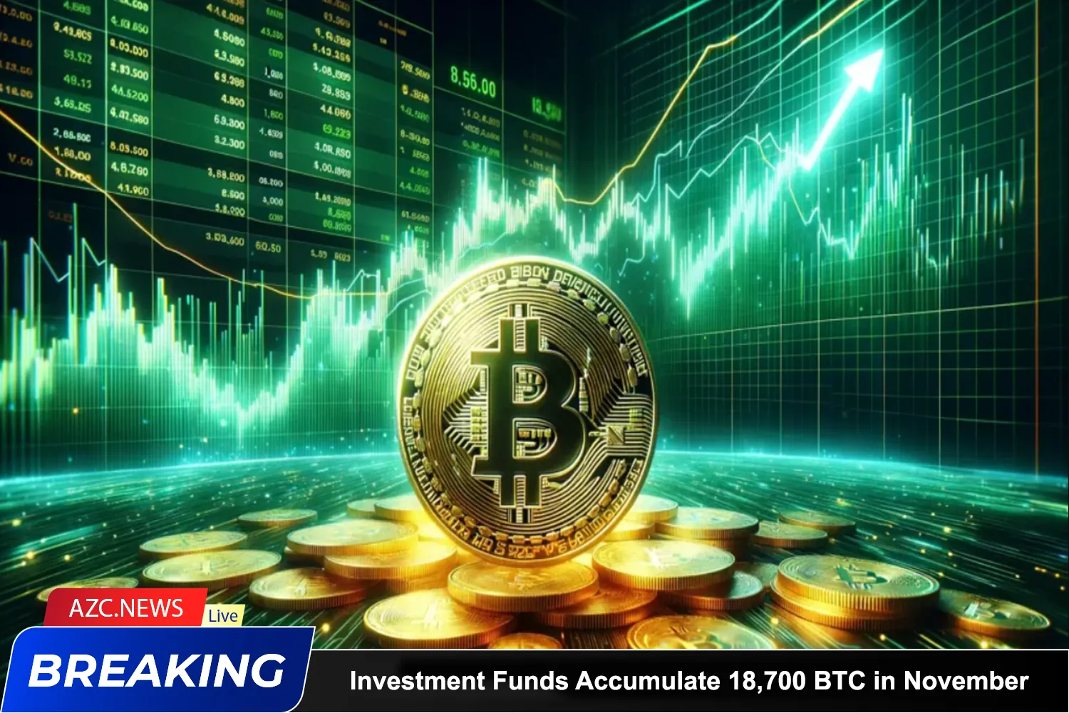 Bitcoin Investment Funds Accumulate 18,700 Btc In November
