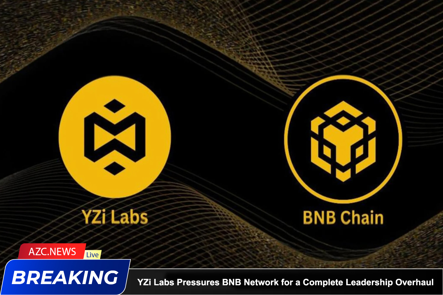 Yzi Labs Pressures Bnb Network For A Complete Leadership Overhaul