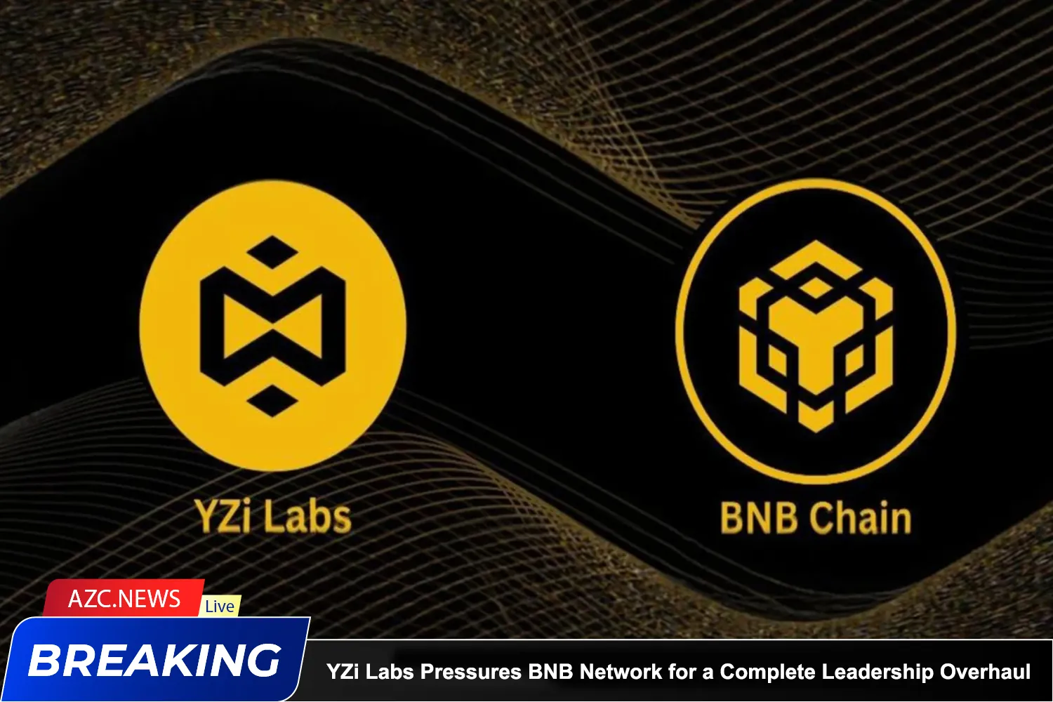 Yzi Labs Pressures Bnb Network For A Complete Leadership Overhaul